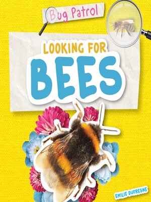 cover image of Looking for Bees